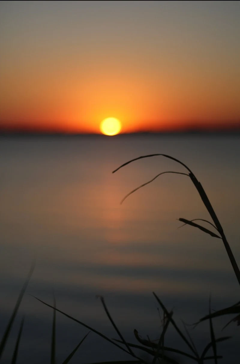 Claude Debussy / Paul Verlaine | Clair de Lune, 1869 | Tutt'Art ...