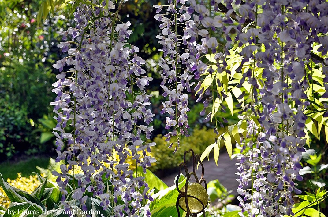 Fees Ultimative Top Ten In Und Um Egmond Aan Zee Fee Ist Mein Name