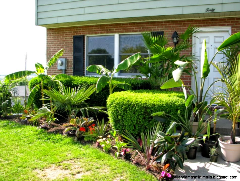 Fantastis Desain Taman Minimalis Dibelakang Rumah Fantastis Desain Taman Minimalis Dibelakang Rumah