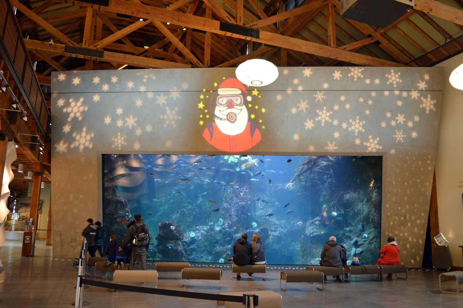 Harvest thanksgiving videos