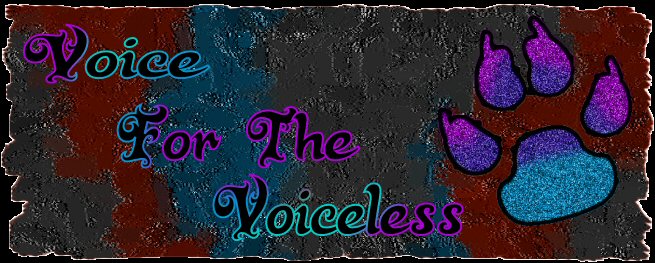Voice For The Voiceless