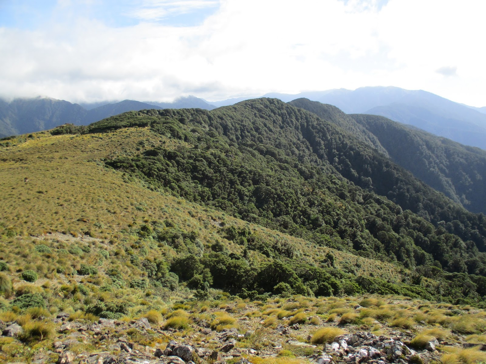 Biking and tramping trip blogs Lost on Mount Cone