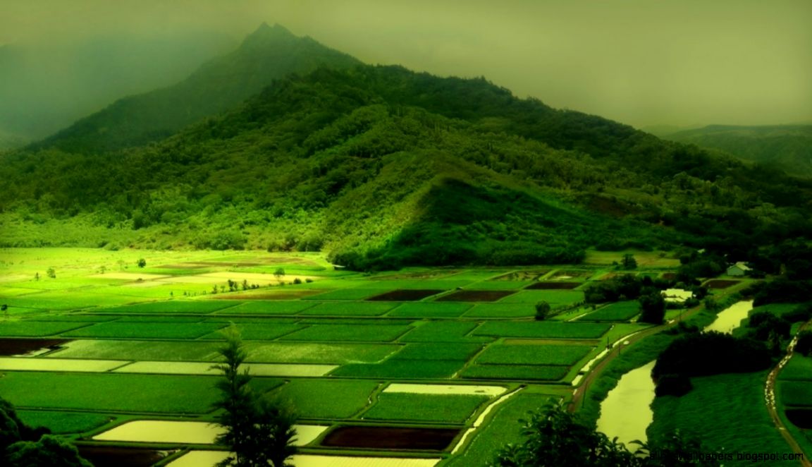 Nature wallpapers hd free download