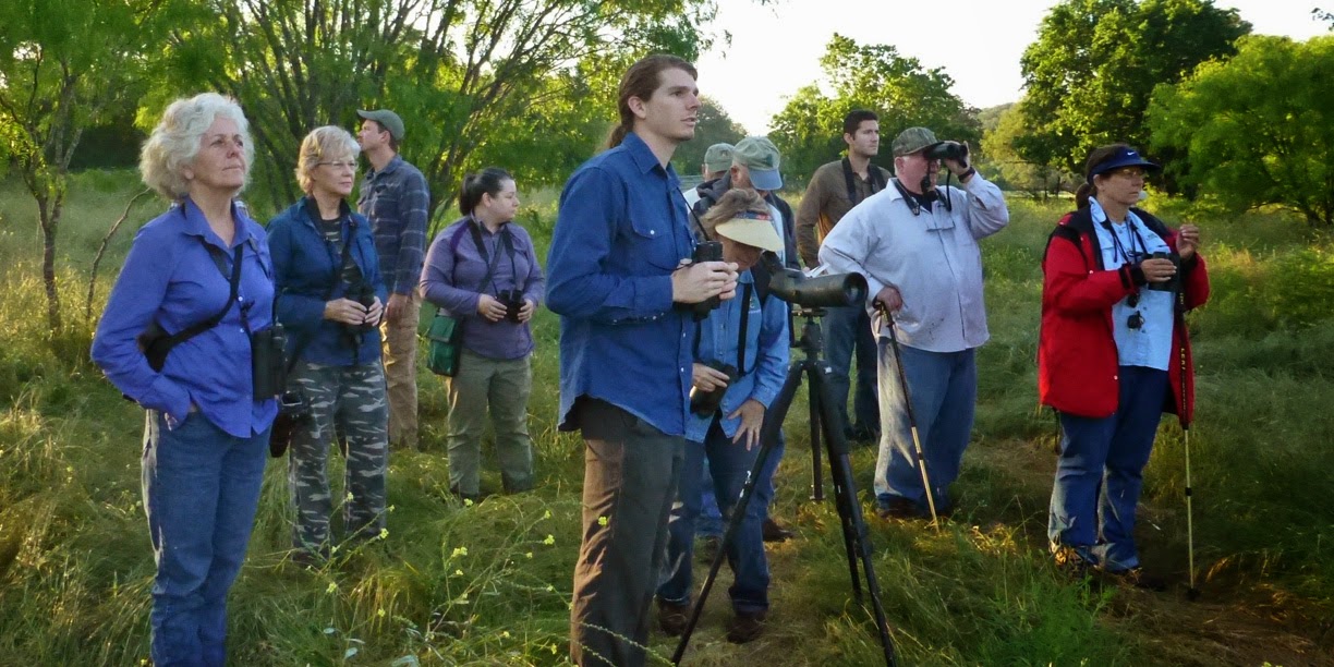 May birding hike on Lime Kiln Road San Marcos Greenbelt Alliance