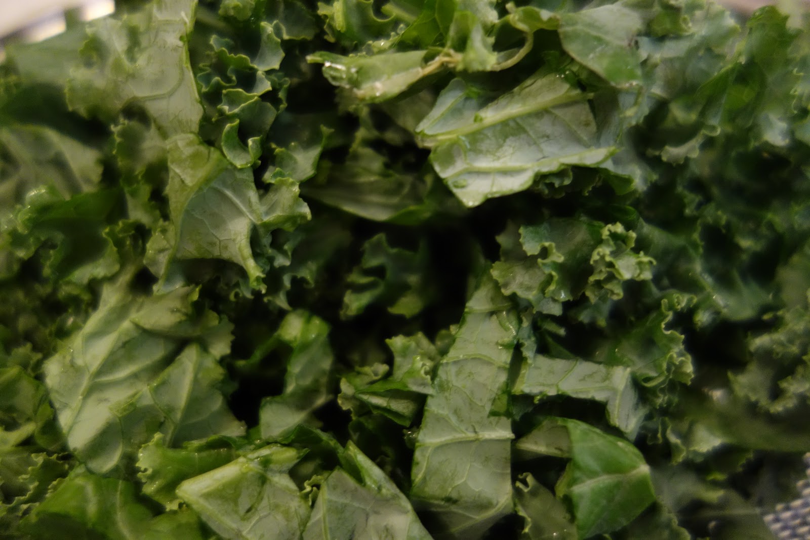 Every Life, Every Fun The Incredible, Edible Kale