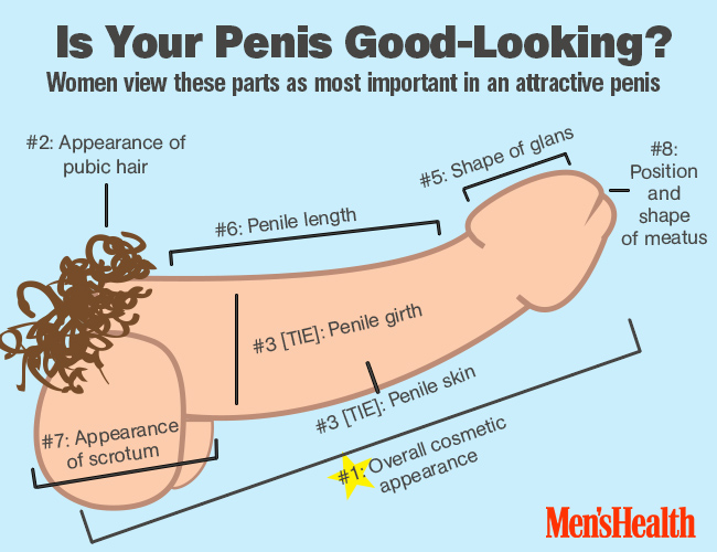 Fühlt sich jeder penis gleich an