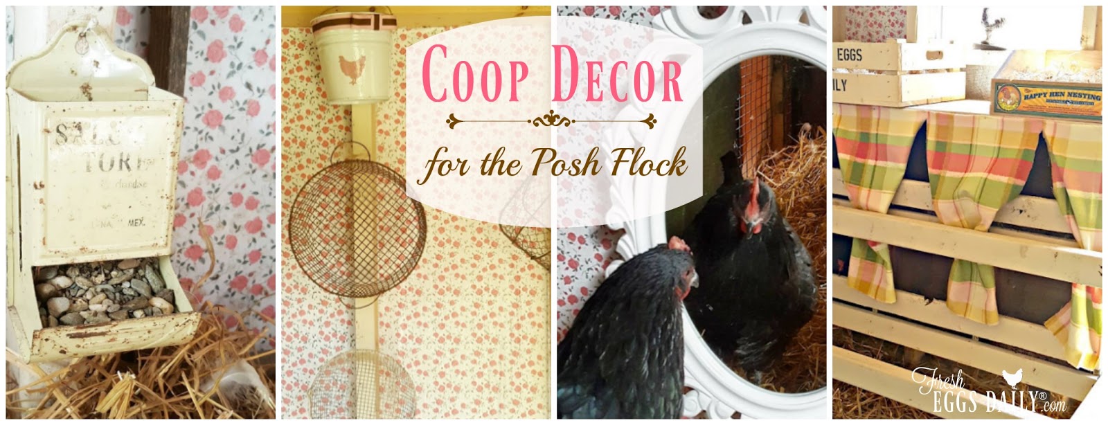 Chicken Coop Decor For The Posh Flock Fresh Eggs Daily