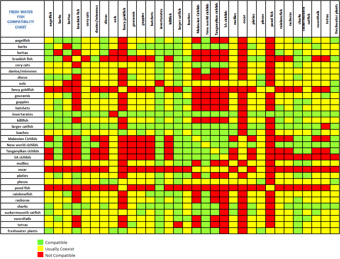 Freshwater Tropical Fish Compatibility Chart