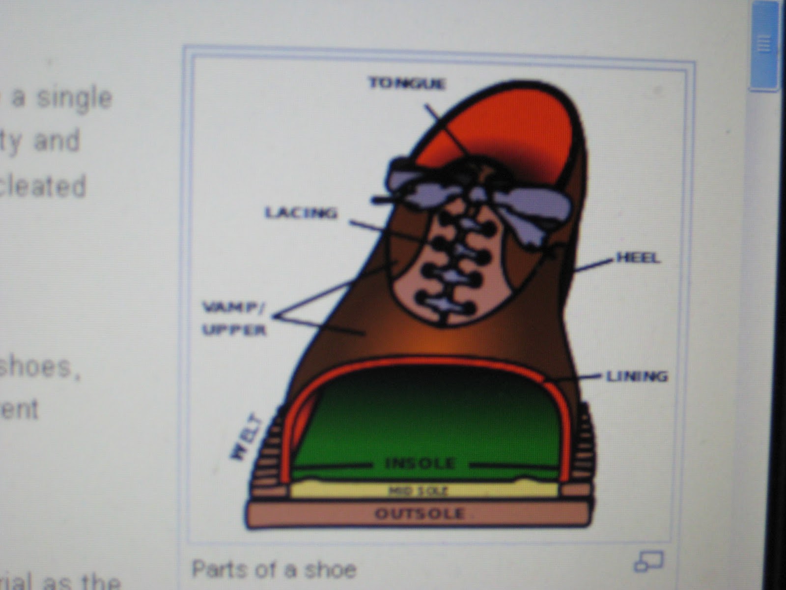 Style into Action Flat shoe flattery the vamp