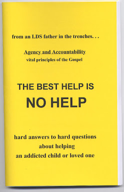 If you need help dealing with an addicted loved one. (See April 20/24 posts for more information)