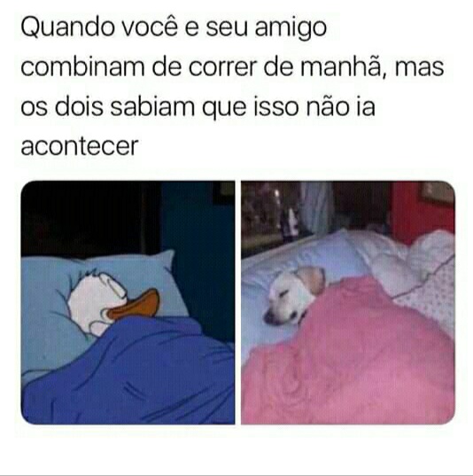 Memes engraçados Memes engraçados