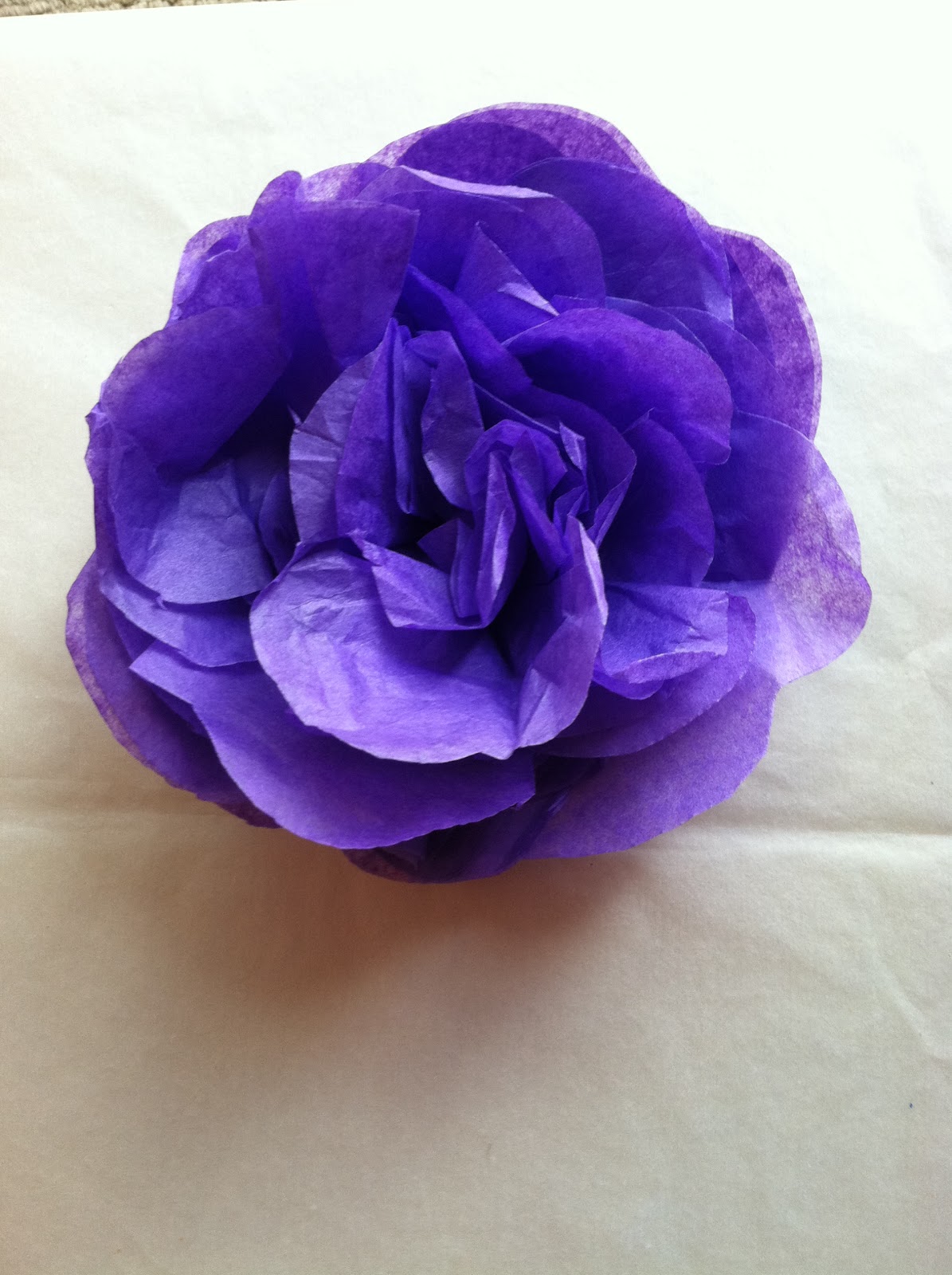 Tissue Paper Flowers or Bows