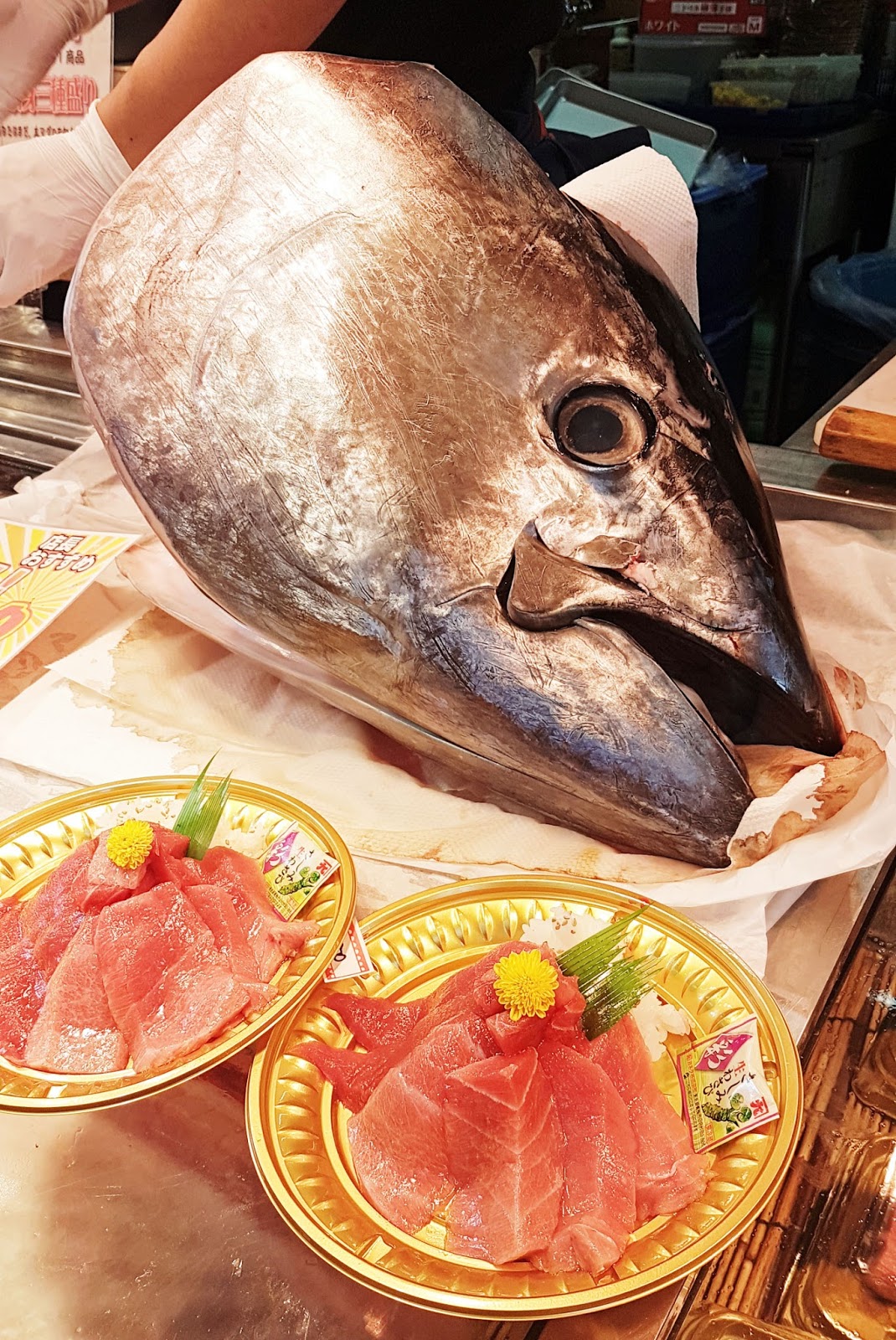 Tsukiji Market - Tuna auction