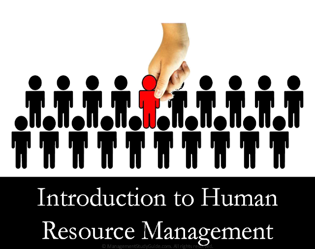 Introduction to Human Resource Management pdf