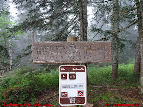 Larch Mountain Trail TR441