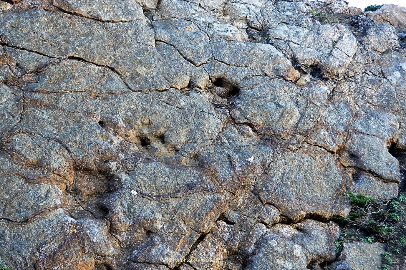 "Sua Maldade"...: Pegadas de Dinossauro - Praia Grande...