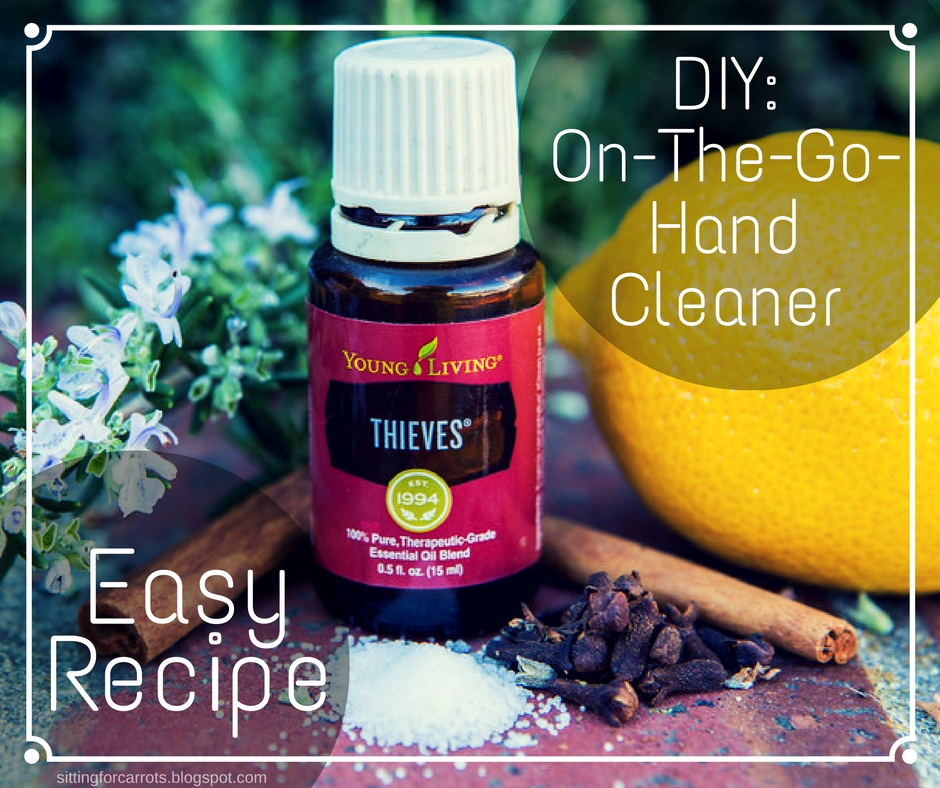 DIY OnTheGo Hand Cleaner Spray My Pets