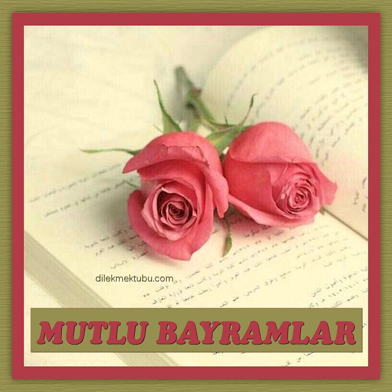 friedberger burgfest de