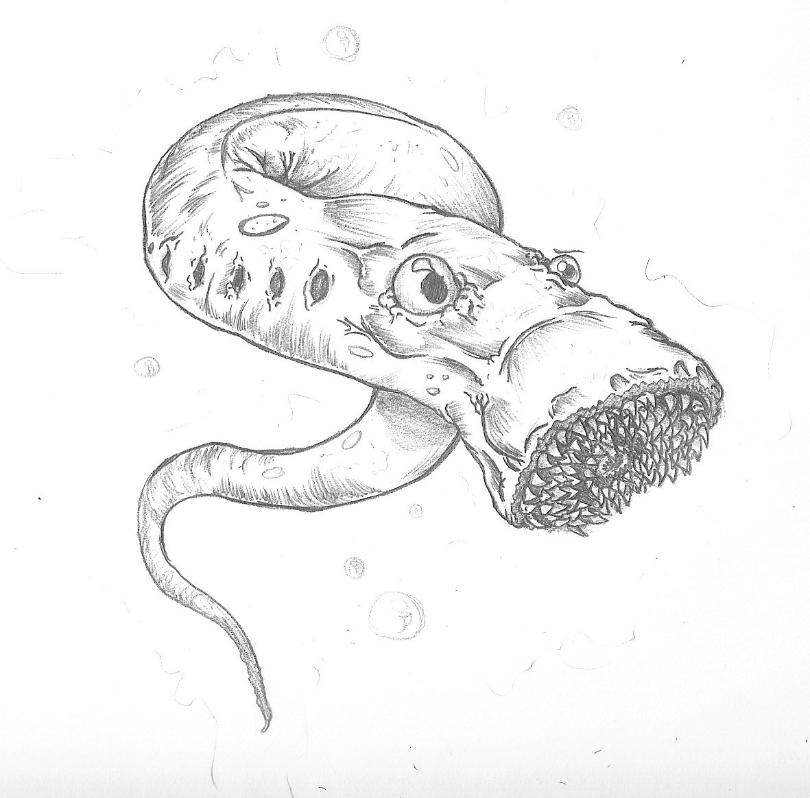 Bogus Face Tail...the blog edition: Lamprey and shenanigans