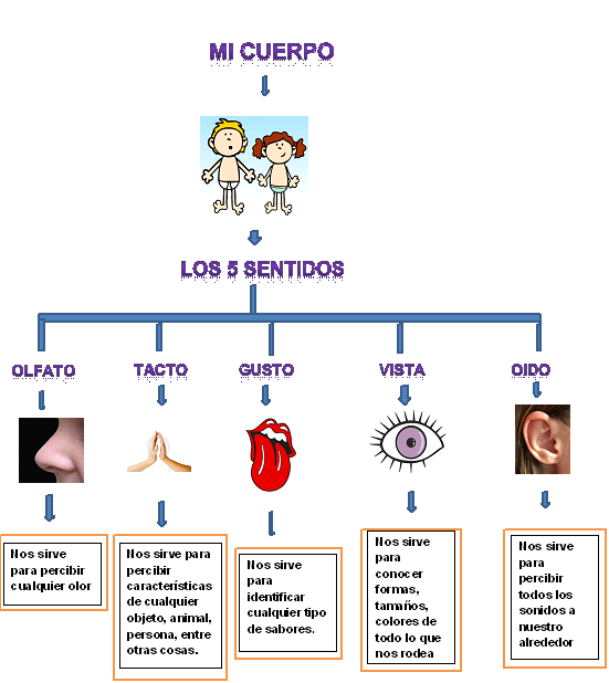 Proyectos en la nube: El mundo a través de los SENTIDOS.