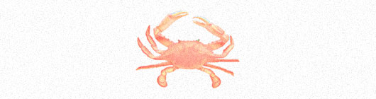 Crab Logo Designs