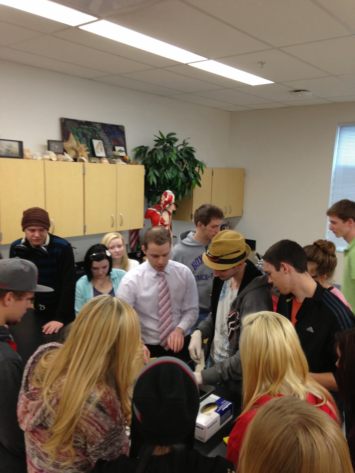 B E H S Work Based Learning Dr Olson