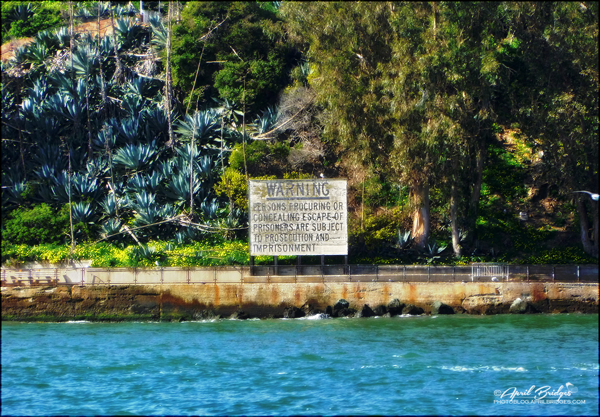 Alvin S Island Navarre Fl Alvin S Island Navarre Fl