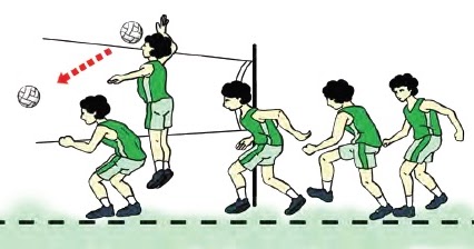 Pengertian Dan Gerak Dasar Smash Pada Permainan Bola Voli Teknik Dasar Olahraga