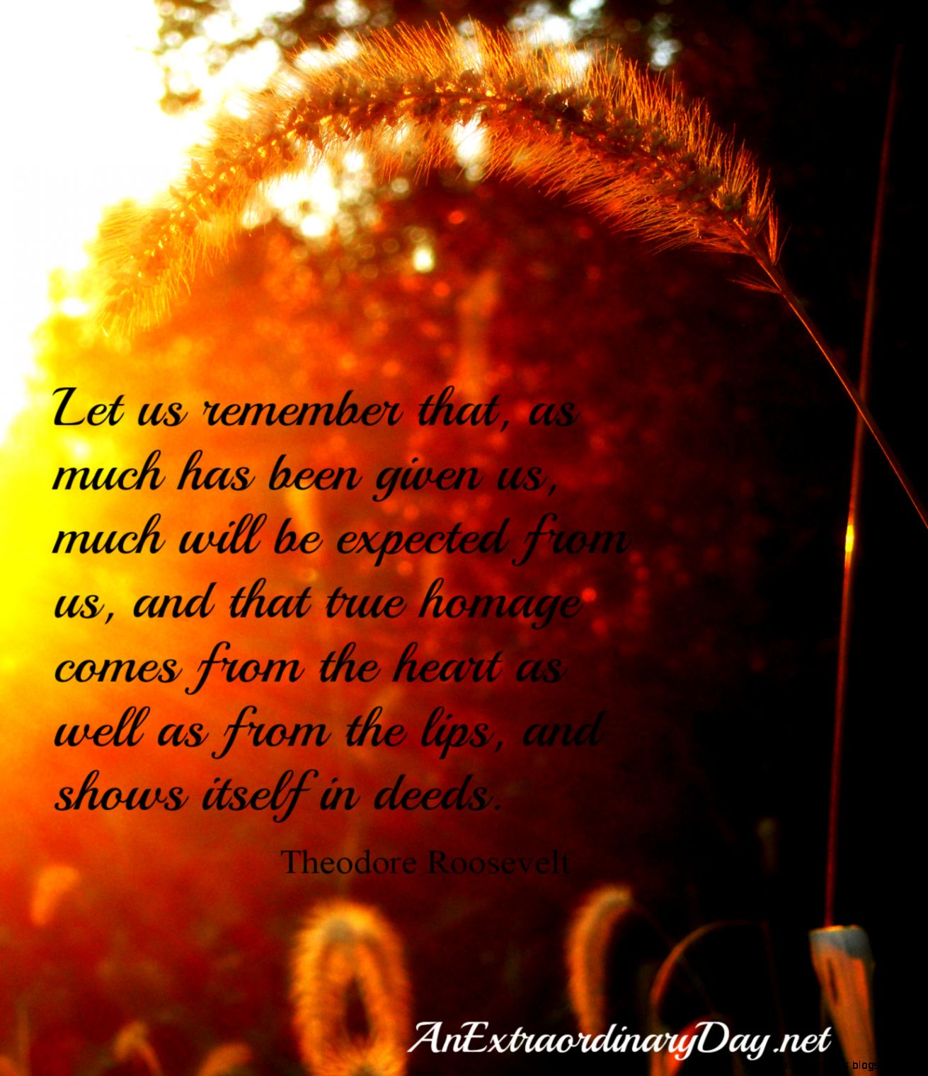 Thanksgiving Quotes Inspirational