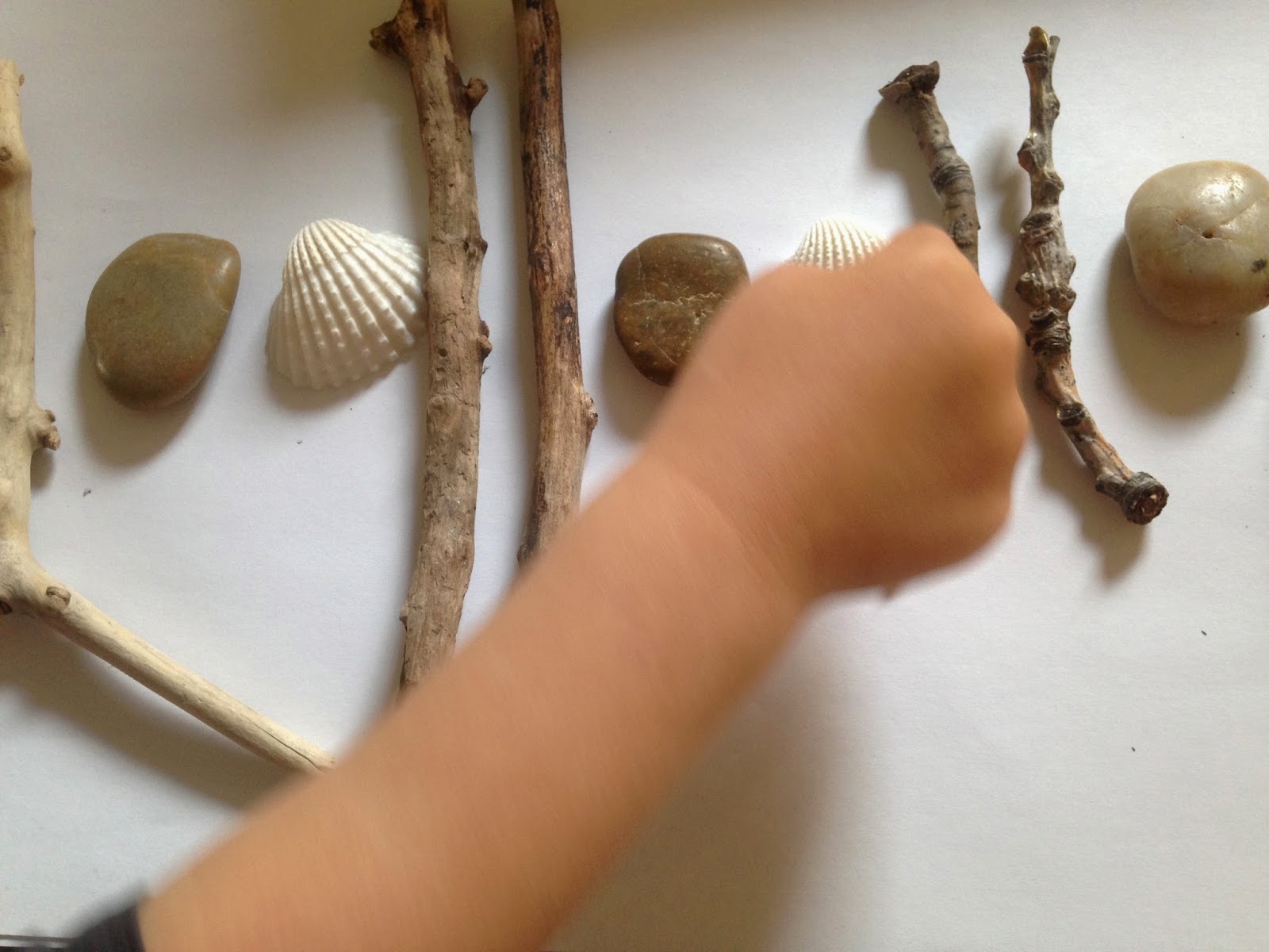 Inspire Nature Patterning with Natural Objects