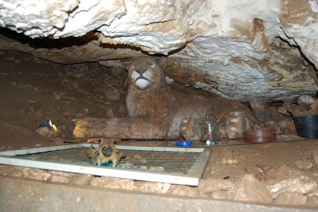 DSC_7311_00068.jpg