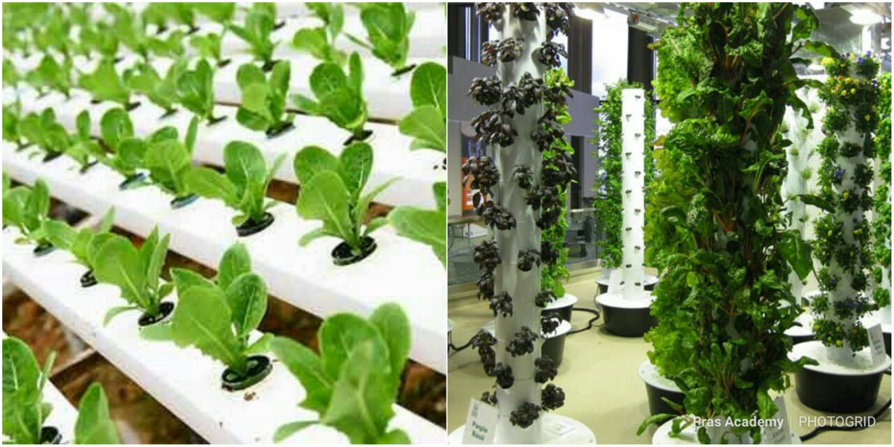 Pras Academy Smp Teknologi Reproduksi Pada Tumbuhan Pras Academy Smp Teknologi Reproduksi Pada Tumbuhan