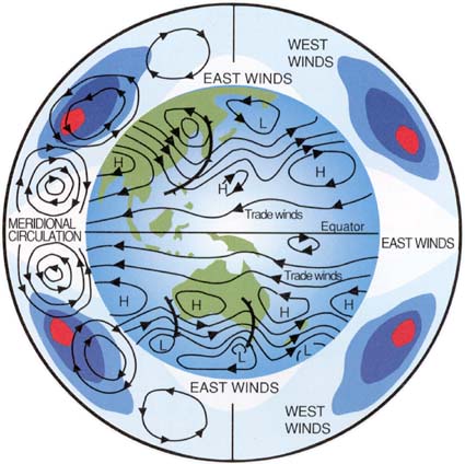 Explain the effects of the coriolis effect on earth's wind
