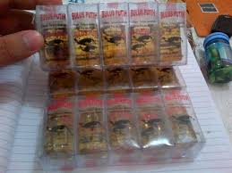 Manfaat Minyak Bulus Putih Asli Mengencangkan Payudara Dan Bokong