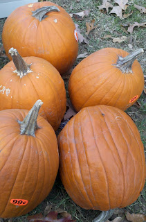 can you feed pumpkins to pigs, can you feed pumpkins to chickens, natural pig wormer, pig dewormer, uses for pumpkins,