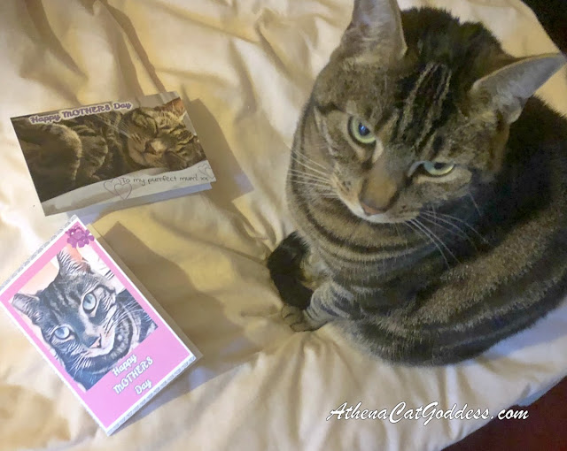 Athena is admiring her Mother's Day cards for Mum and Granny