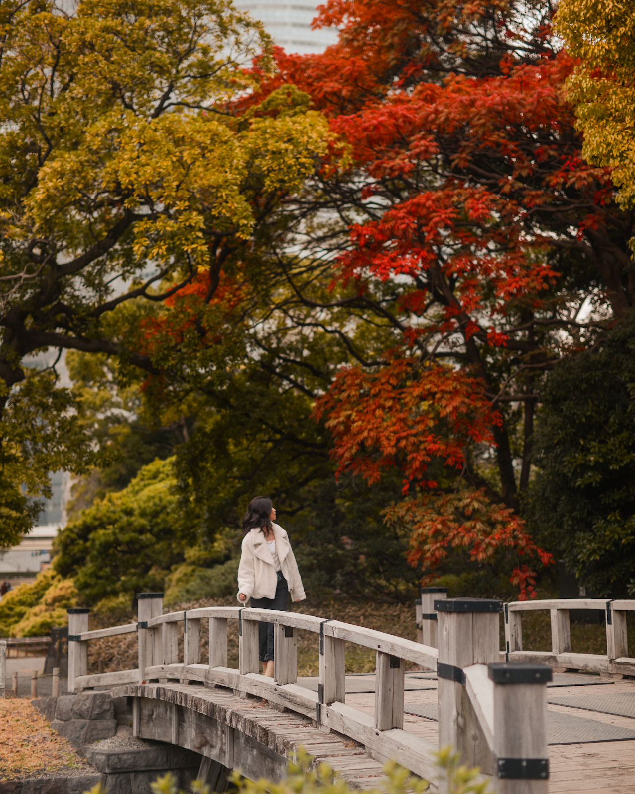 Foliage in Tokyo 2019, Tokyo in the fall - FOREVERVANNY