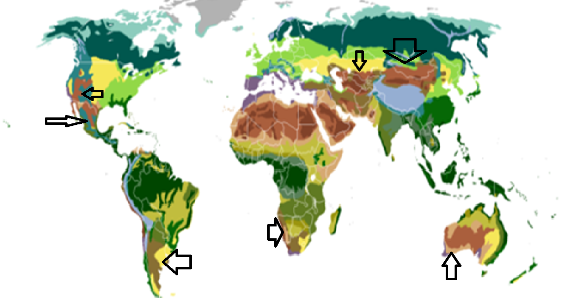Wpływ Człowieka Na Różnorodność Biologiczną Człowiek i środowisko.: Wpływ klimatu na różnorodność biologiczną.