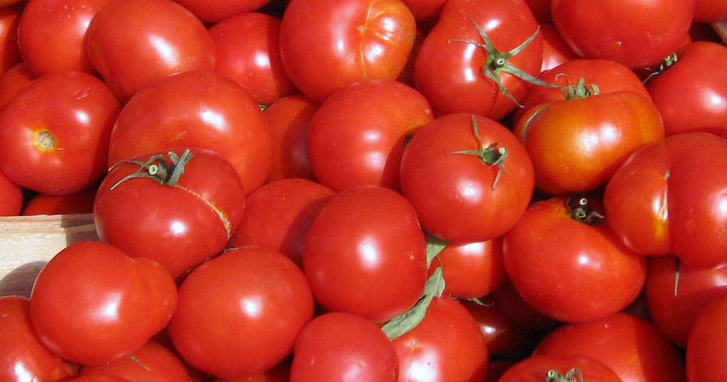 Freshman English Ketchup