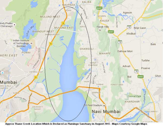 Thane Creek Flamingo Wildlife Sanctuary