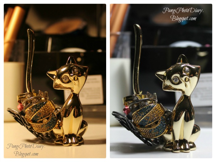 Pang's Photo Diary Choosing the Right Light For Photography Warm