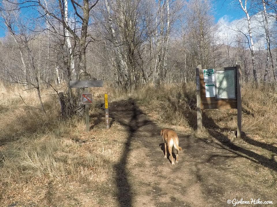 Hiking the Sardine Peak Loop, Snowbasin Girl on a Hike