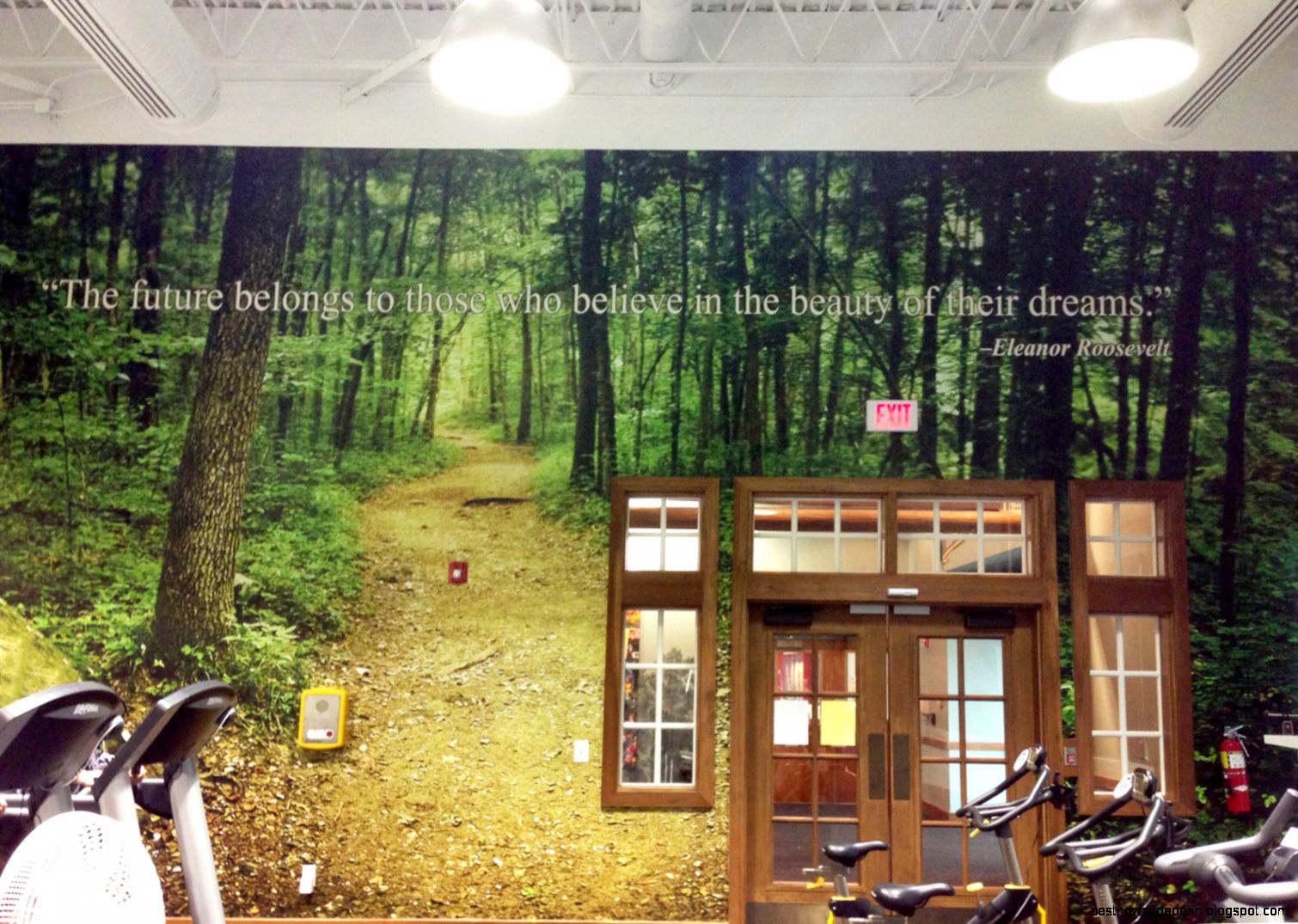 Custom Décor and the Nature of Wall Murals  LexJet Blog