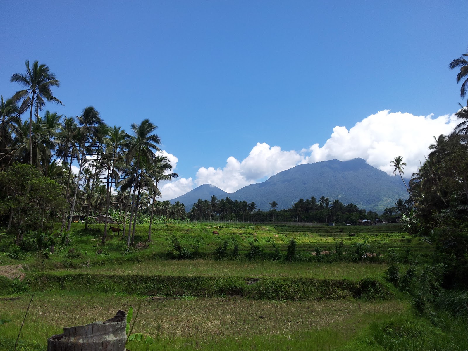 dahlgren: Travel Glimpse: Liliw, Laguna