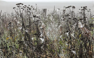 Bernau LIVE - Dein Stadtmagazin für Bernau bei Berlin