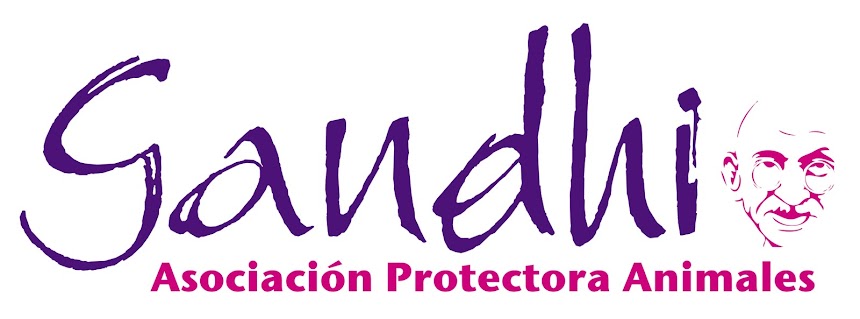 ASOCIACIÓN PROTECTORA DE ANIMALES GANDHI