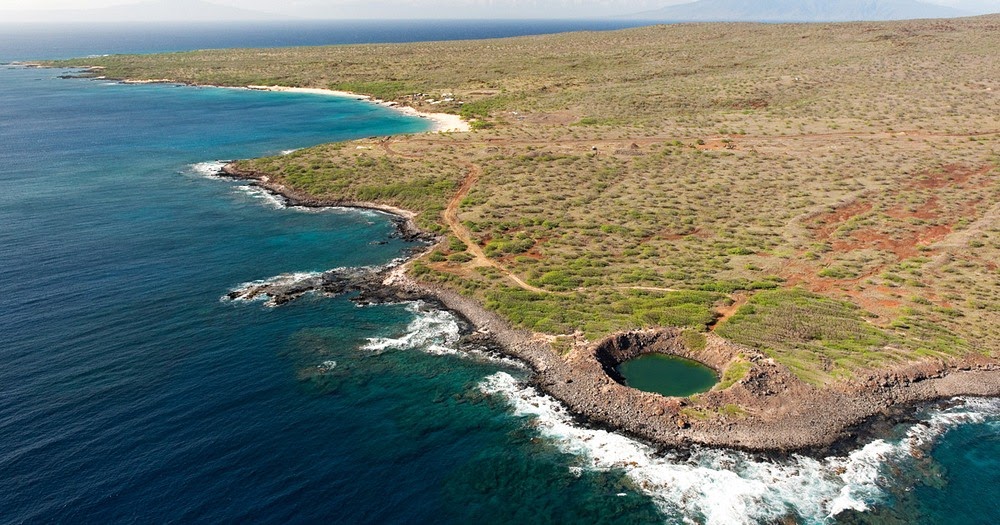 Domi Good Operation Sailor Hat