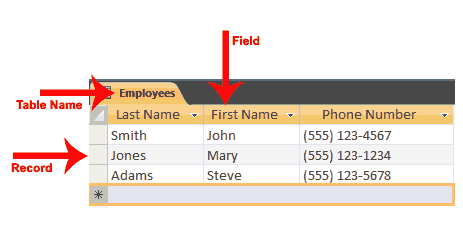 Field names. Phone number fields examples. Data type in access. Property name field google analytics. Table.