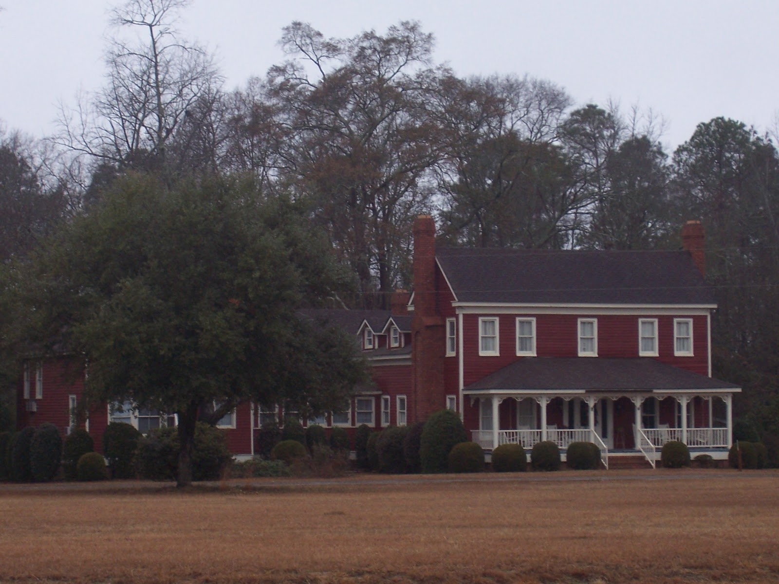 Studio Peaches Mulberry Farms Petsfriendly farm