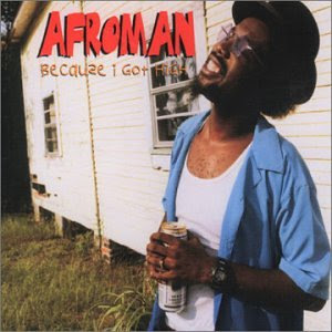 Hip-Hop Album: Afroman - Because I Got High